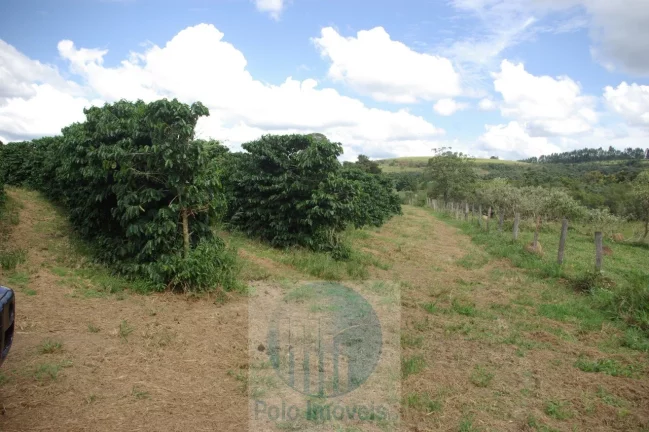Imagem Fazenda com 140.000 pés de café produzindo, a 20 km de Jacuí Minas Gerais, casa de caseiro, energia e água.
