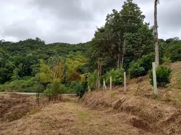 Imagem Fazenda à Venda, 90 m² em Barra Avencal - Rio Dos Cedros
