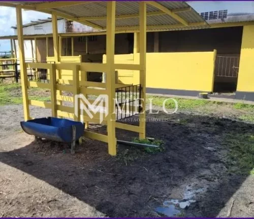Imagem Oportunidade em SÃO LOURENÇO DA MATA, 30.000²,Fazenda / Sítio com 4 Quartos à venda,. 30000m² - Muribara