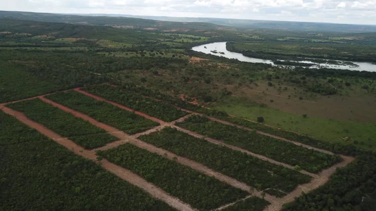 Imagem Chácara à venda em Três Marias-MG: 750,00 m² de área no bairro XXXXX