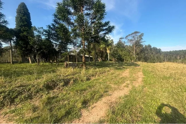 Imagem Fazenda/Sítio para venda no bairro Centro em Tapes