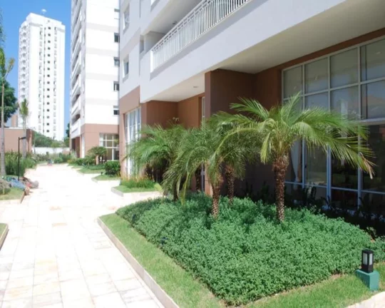 Imagem 1 1 9 9 9 3 7 0 6 0 9 Apartamento a venda no Butantã, ao lado da USP