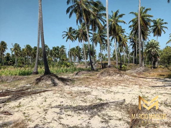 Imagem Terreno à venda, 18615 m² por R$ 3.600.000 - Ilha do Guajiru - Trairi/CE