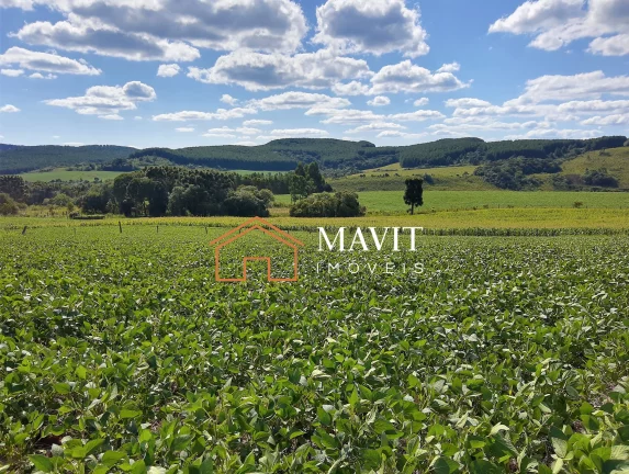 Imagem SITIO RURAL em CAPÃO ALTO - SC, Capão Alto