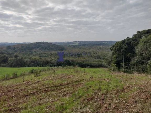 Imagem ÁREA PARA PLANTIO EM BALSA NOVA REGIÃO DO BUGRE