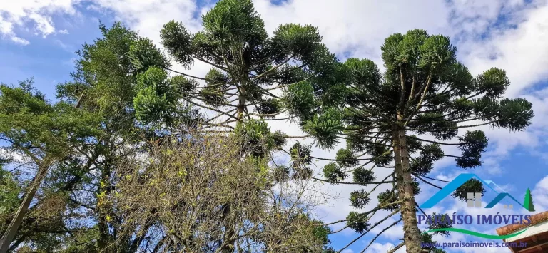 Imagem Refúgio Exclusivo nas Alturas: Sua Chácara de Sonho em Costas, Paraisópolis