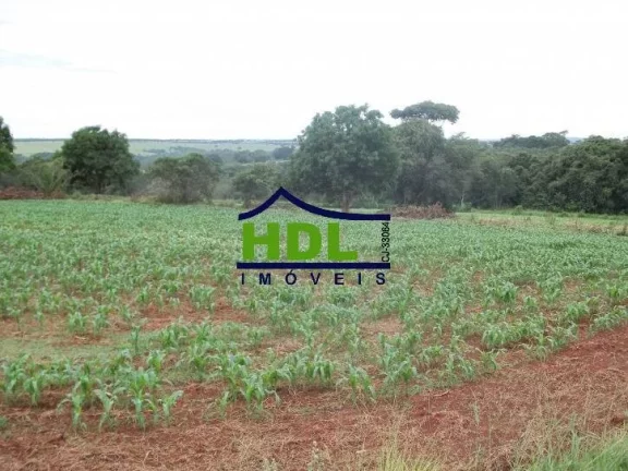 Imagem FAZENDA 24 ALQS CULTURÃO BEIRA RIO