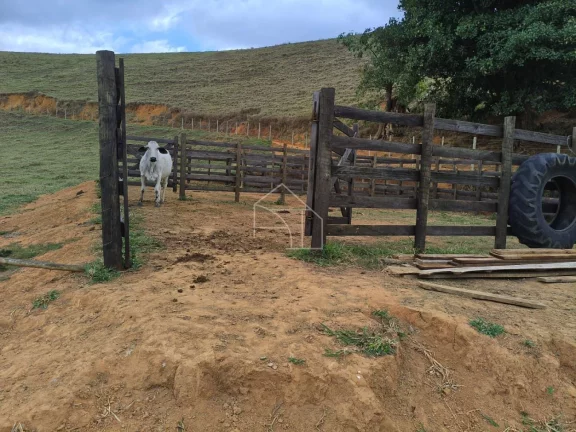 Imagem Terreno Rural à Venda com 5 Alqueires – Alegre/ES