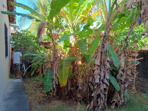 Imagem Casa de 2 Quartos, com quintal, no Bairro Vila velha. 1 Vaga de garagem