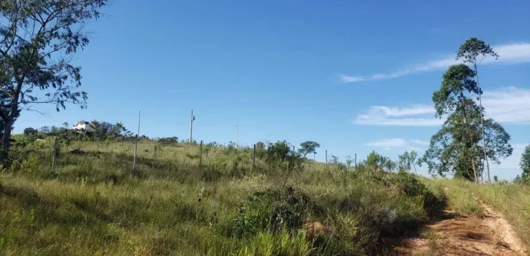 Imagem Lotes à Venda na Colônia Rodrigo Silva