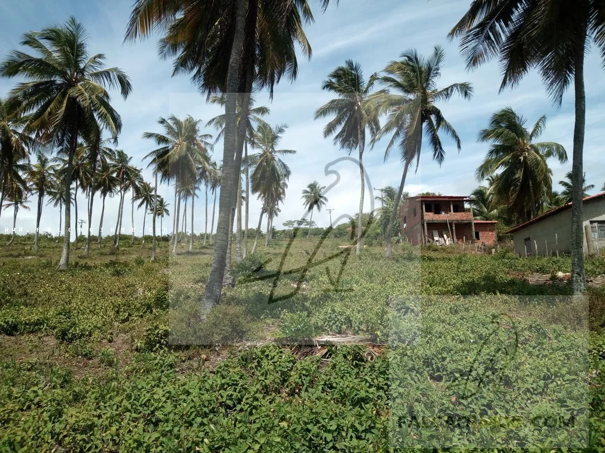 Imagem Terreno para Venda em Conde / BA no bairro Barra do Itariri