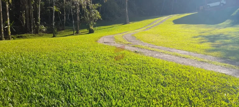 Imagem ÁREA à venda com 411400m² por R$ 2.400.000,00 no bairro Centro - MORRETES / PR