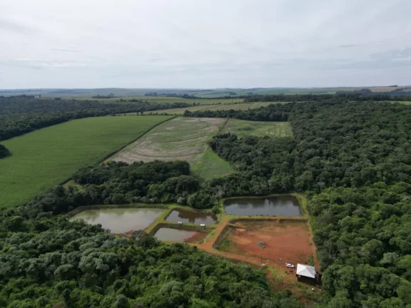 Imagem Chácara à venda em Cascavel, Centro - Casa de caseiro, Rio e Lago para pesca