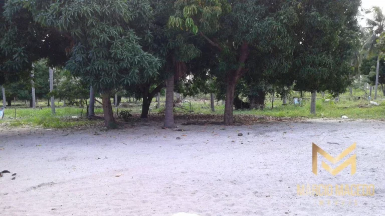 Imagem Terreno à venda, 247664 m² por R$ 1.200.000,00 - Zona Rural - Beberibe/CE