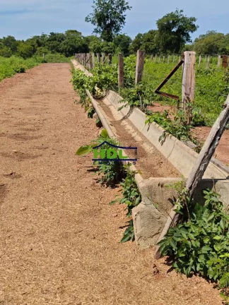 Imagem Fazenda 188 Alqs em Alvorada do Tocantins