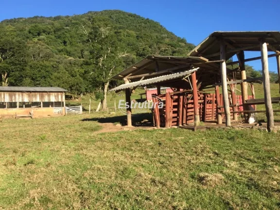 Imagem Sítio maravilhoso com 47 hectares de natureza exuberante!