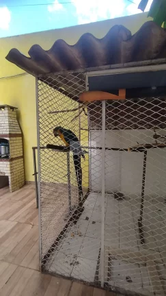 Imagem Ampla Casa Duplex com Anexo, Churrasqueira e 8 Vagas – Taquara