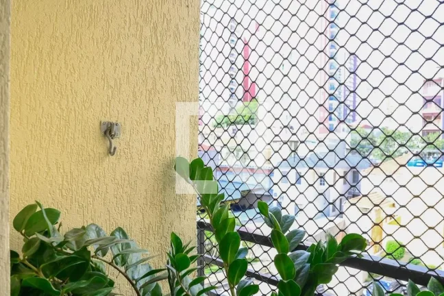 Imagem Apartamento à Venda - Aclimação, 3 Quartos, 67 m2
