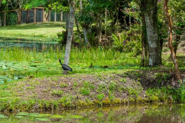 Imagem Terreno em Camboriú - Rio do Meio