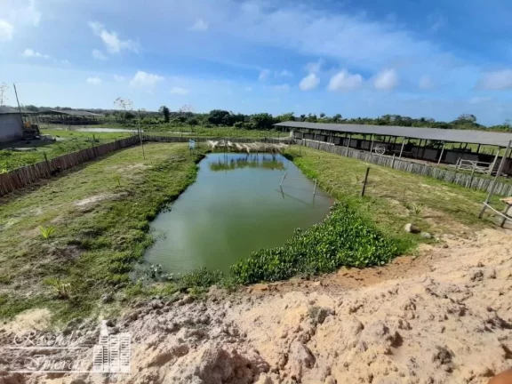 Imagem FAZENDA A VENDA NO RURAL MARGEM DO RIO CAMARÁ