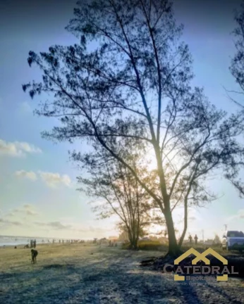 Imagem Terreno Balneario Araça Ilha comprida