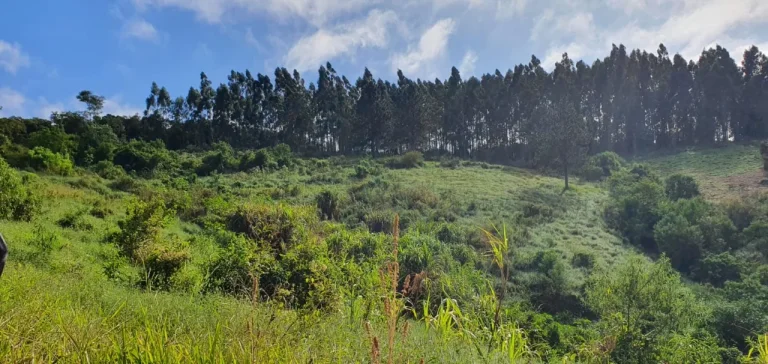 Imagem Sítio à venda em Piedade-SP, bairro Piedade, com 0,01 m² de área: oportunidade imperdível!