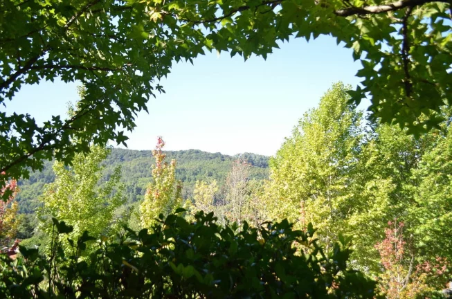 Imagem Terreno à venda, 0 m² por - R$ 12.500.000,00 - Linha Bonita - Gramado/RS
