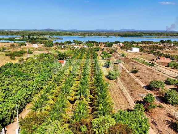 Imagem Área Beia Rio, Estrada das Pedrinhas, 8.4 hectares, PETROLINA - PE