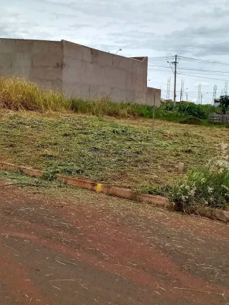 Imagem Terreno Padrão