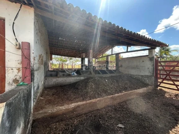 Imagem Chacara a venda completa e produtiva em Sao jose de mipibu
