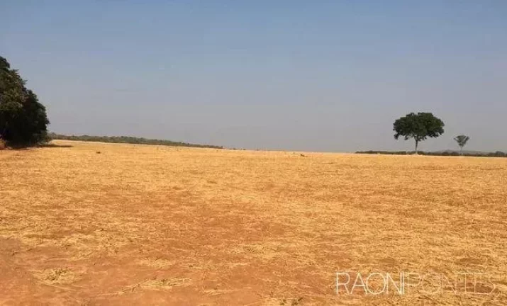 Imagem Fazenda à Venda, 5.620.000 m² em Zona Rural - Jaraguá