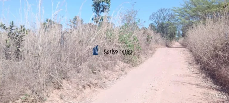 Imagem Chácara para Venda em Brasília, Setor Habitacional Jardim Botânico