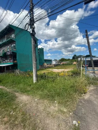 Imagem Terreno com 7 Dormitorio(s) localizado(a) no bairro Querência em Viamão / Rio Grande do Sul Ref.:57580551