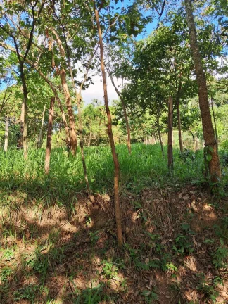 Imagem EXCELENTE LOTE NO SAMAMBAIA 2, EM JUATUBA!