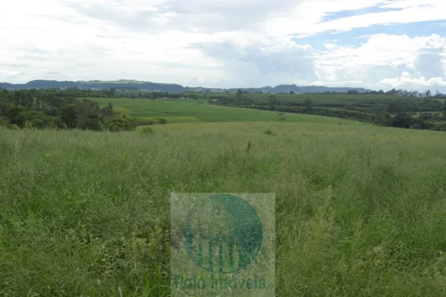 Imagem Fazenda em Cajuru 72 alqueires com soja, gado, braquiária e estrutura, 75 km de Ribeirão Preto - SP