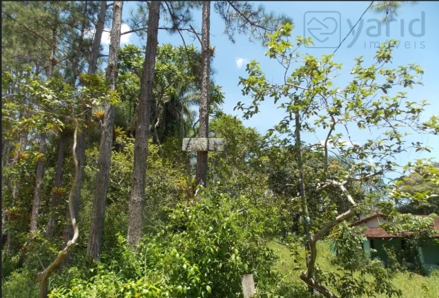 Imagem Imperdível sítio à venda em Juquiá/SP, Zona Rural: 2 quartos, 1 sala, 1 banheiro, 173.000,00 m² de área!