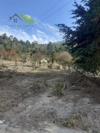 Imagem Sítio com plantação de eucalipto 121.000,00m2, à venda por R$ 950.000,00 em Paraibuna/SP