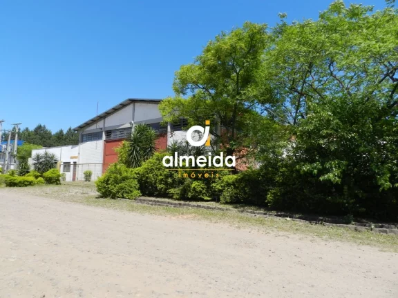 Imagem Pavilhão à venda Pé de Plátano Santa Maria/RS