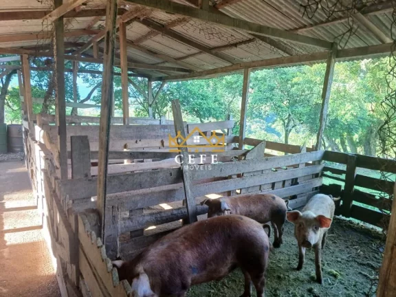 Imagem Chácara - Sítio com 2 Dormitorio(s) localizado(a) no bairro Amoreira em Canela / RIO GRANDE DO SUL Ref.:1567