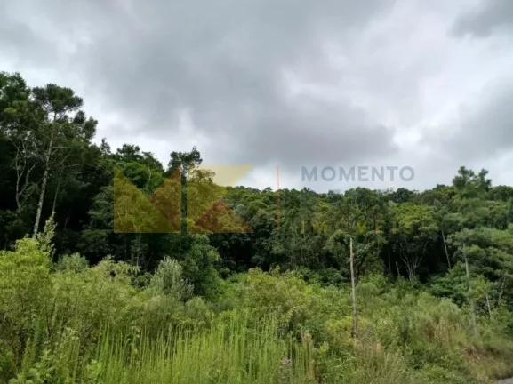 Imagem Fazenda à Venda, 90 m² em Barra Avencal - Rio Dos Cedros