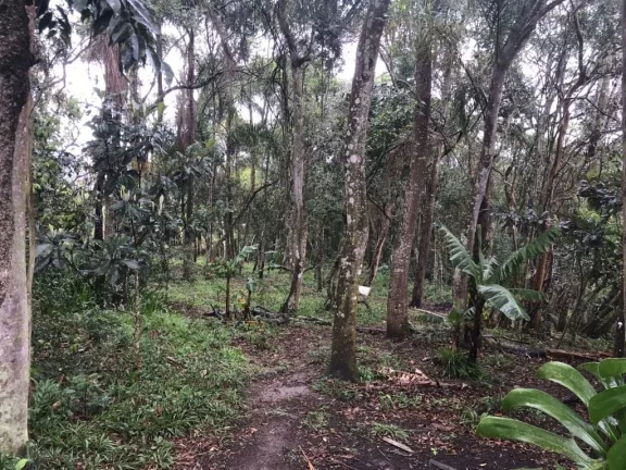 Imagem Chácara com 4 dormitórios à venda, 8 m² por R$ 700.000,00 - Jardim das Lavras - Suzano/SP