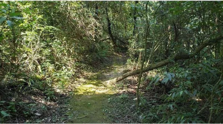 Imagem Terreno à venda, 1000 m² por R$ 480.000,00 - Condomínio Fazenda Jequitibá - Sorocaba/SP