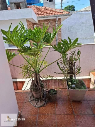 Imagem Sobrado à venda, Helena Maria/Osasco,168m2, 3 quartos, 2 vagas