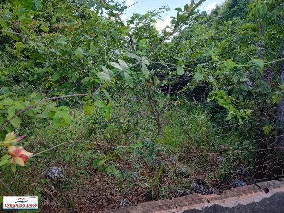 Imagem OPORTUNIDADE DE INVESTIMENTO - 08 Terrenos à Venda no Jardim Seminário, totalizando 2.880 m2