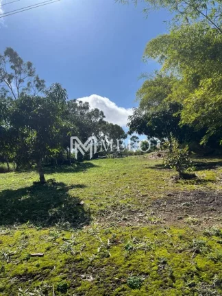 Imagem Oportunidade | GRAVATÁ: 480m², 06qts, 05suites, 06 vagas...