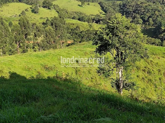 Imagem Chácara à venda 744000M², Zona Rural, Castro - PR