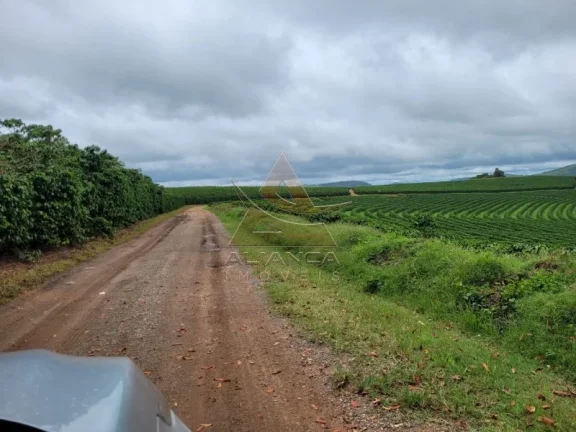 Imagem Fazenda - Santo Antônio do Amparo - Zona Rural