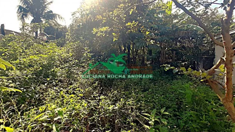 Imagem Terreno Padrão
