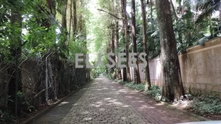 Imagem TERRENO/SITIO/CHÁCARA RESIDENCIAL em SÃO PAULO - SP, CHÁCARA FLORA