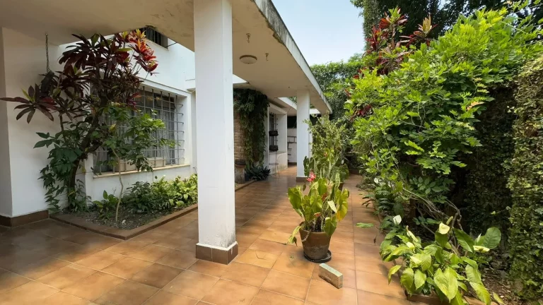 Ativo Jardim Europa: Casa para Reforma Total Terreno 336m²